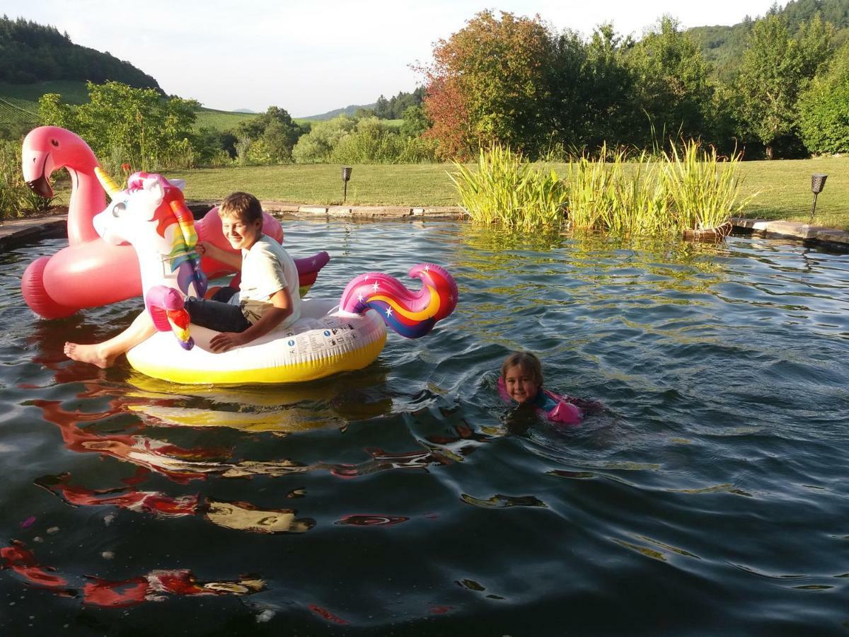 Paradies 1 Döttingen 외부 사진